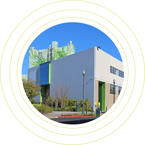life sciences cluster